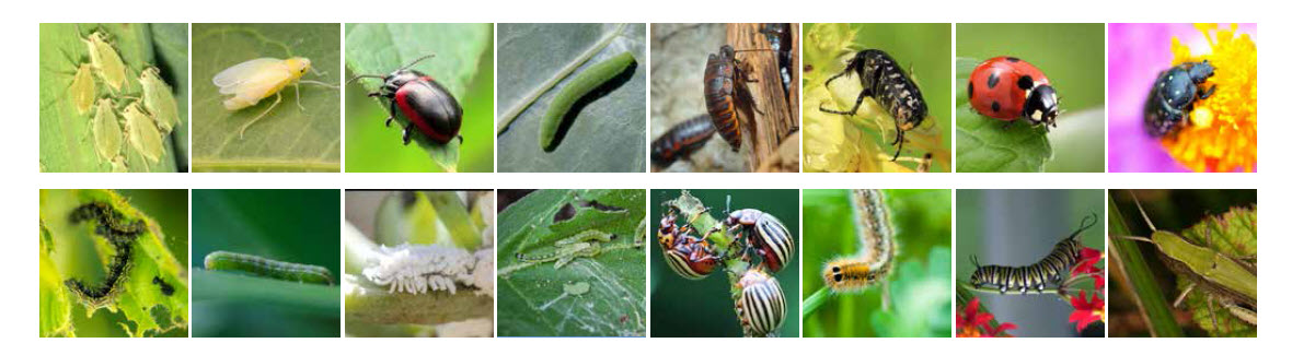 MICROBEBIO sustainable farming practices MICROBEBIO sustainable farming practices