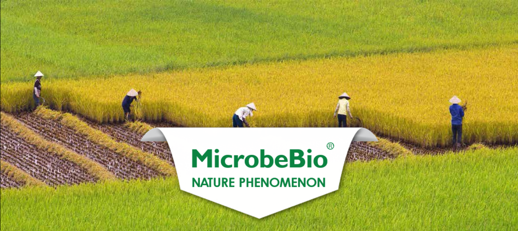 MICROBEBIO MICROBIAL TECHNOLOGY