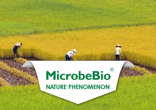 MICROBEBIO MICROBIAL TECHNOLOGY