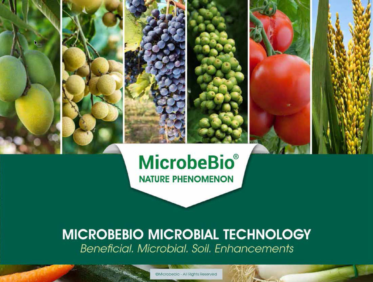 MICROBEBIO - BROCHURE - PEST PREVENT DISEASES - GRAPEFRUIT - 1000M2 6
