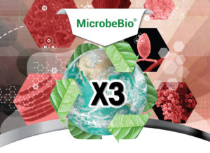 MICROBEBIO