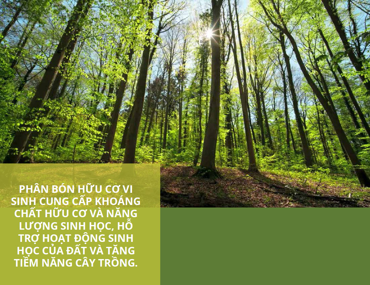 Phan bon huu co vi sinh Phan bon huu co vi sinh