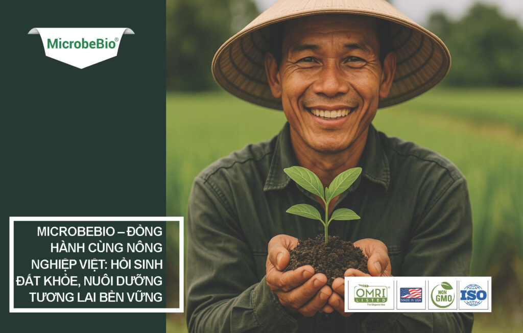 Tăng Cường Sức Khỏe Đất Ở Việt Nam Cùng MicrobeBio: Giải Phóng Sức Mạnh Sống Của Đất Vì Một Tương Lai Bền Vững