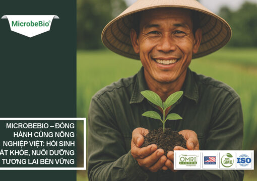 Tăng Cường Sức Khỏe Đất Ở Việt Nam Cùng MicrobeBio: Giải Phóng Sức Mạnh Sống Của Đất Vì Một Tương Lai Bền Vững